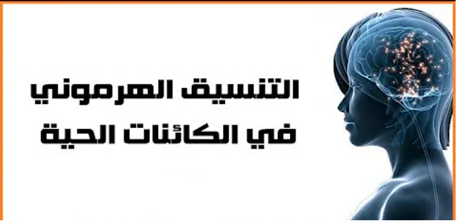 الحصة الثالثة-تأثير الهرمونات والربط بينهم